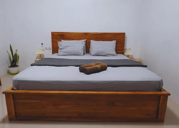 The Middle Surf House